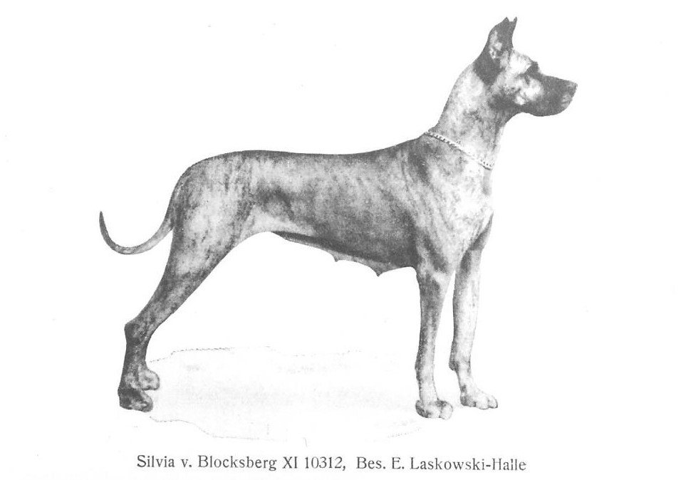 Silvia v Blocksberg